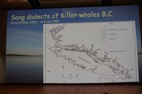 
DSC00157